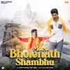 About Mere Bholenath Shambhu Song